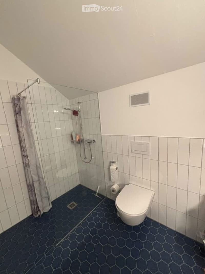 Modern bathroom with white tiles, blue hexagonal floor tiles, a glass-enclosed shower, and a toilet.