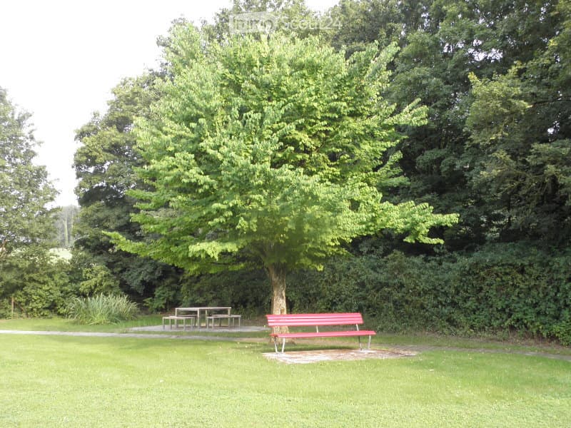 A well-maintained garden area with a large tree, a red bench, and a picnic table set on a paved surface surrounded by lush greenery.