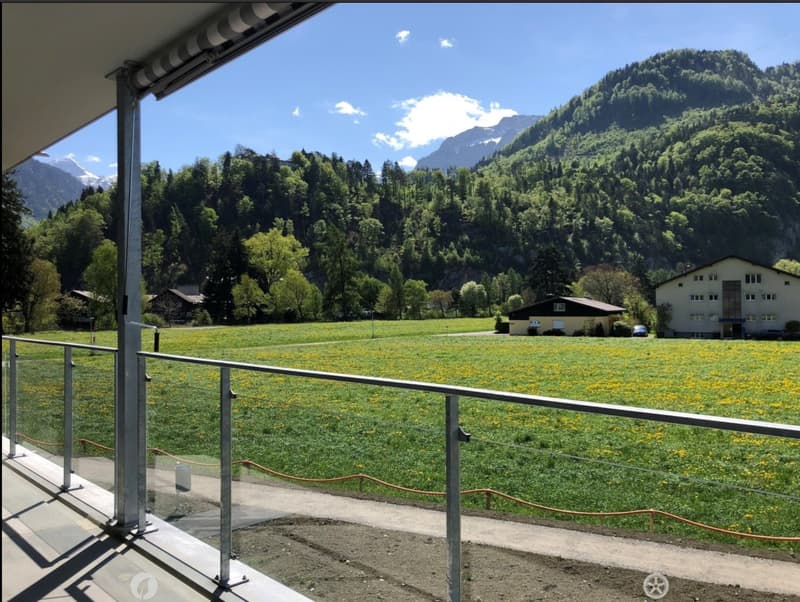 Balcony overlooking a green field with yellow flowers, surrounded by trees and mountains in the background.
