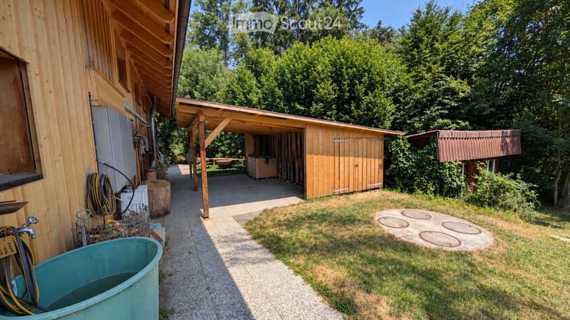 Outdoor area with a wooden shed, covered patio, grassy lawn, and a small blue tub. Tools and storage items are visible near the house.