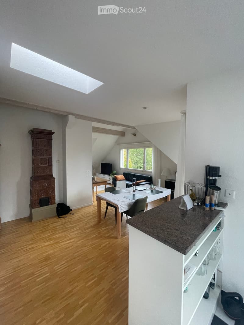 Open-plan living and dining area with wooden flooring, a sofa, dining table, chairs, a coffee maker, and a fireplace.
