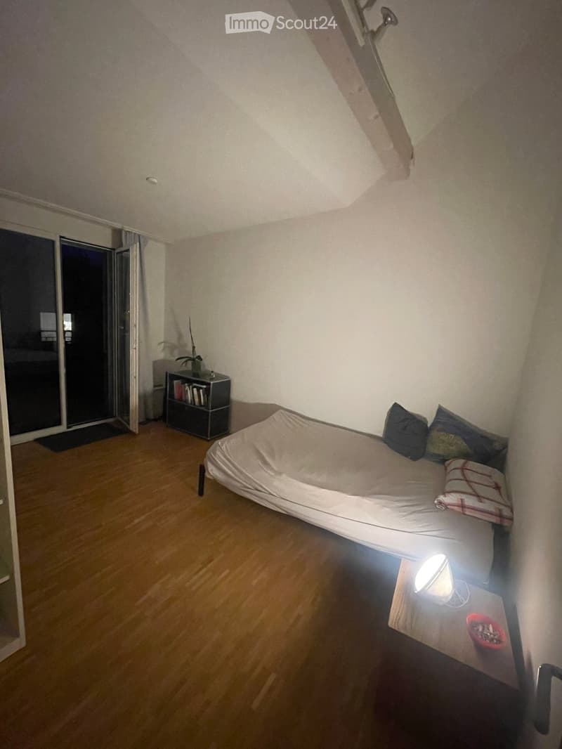 Cozy bedroom with wooden flooring, a single bed with pillows, a nightstand with a lamp, a small bookshelf, and a plant near the sliding glass door.