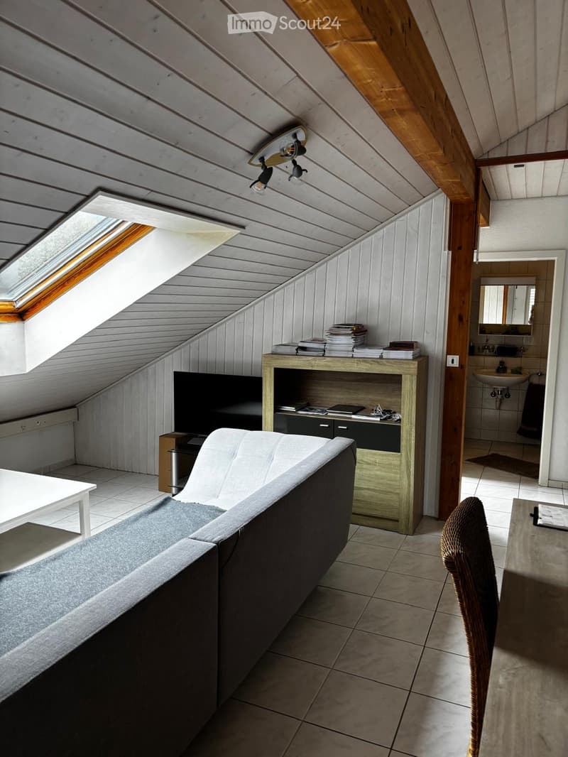 Cozy attic room with slanted wooden ceilings, skylight window, grey sofa, white coffee table, wooden desk, TV, and a small bathroom with a sink.
