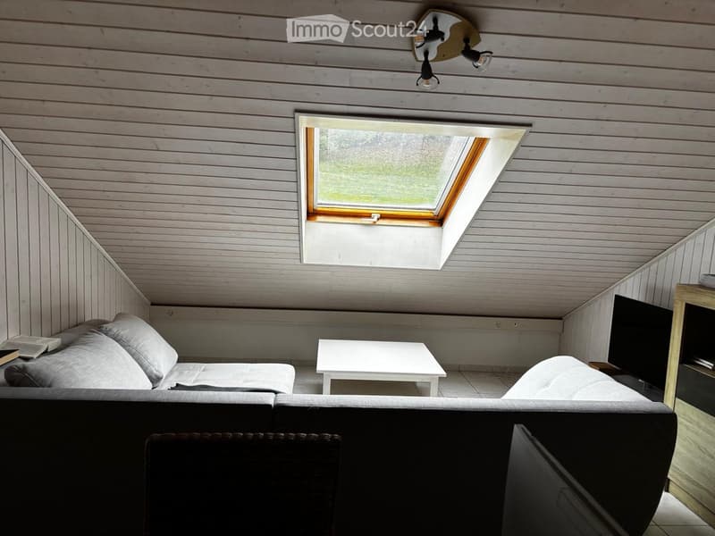 Cozy attic room with wooden walls and ceiling, skylight window, sofa, coffee table, and screen.