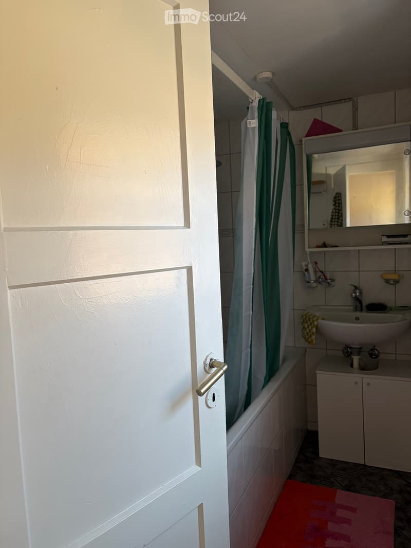 Bathroom with a bathtub, sink, mirror, and cabinet. Green shower curtain and red bath mat visible.