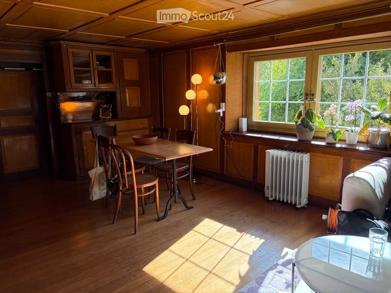 A cozy, wooden-paneled room with a dining table, chairs, a sofa, potted plants on the windowsill, a radiator, and a hanging ball lamp. The room features wooden cabinets and a glass table with a cup on it.
