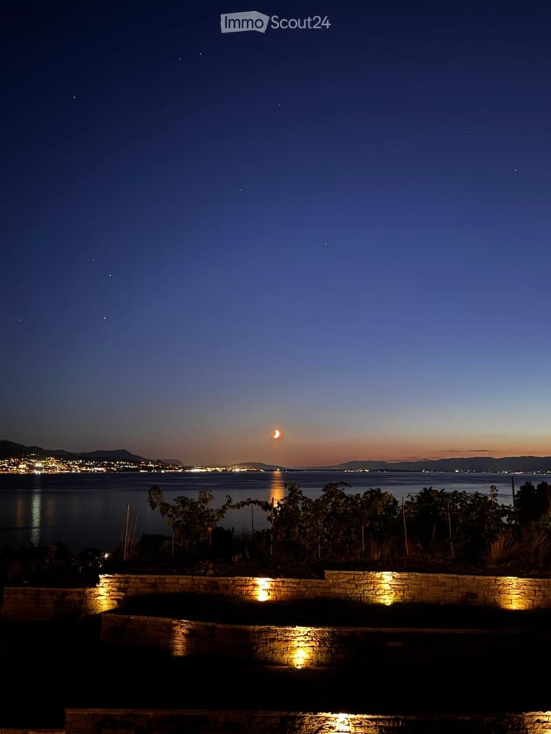 Nighttime view of a waterfront with illuminated stone steps, trees, and distant city lights across the water.