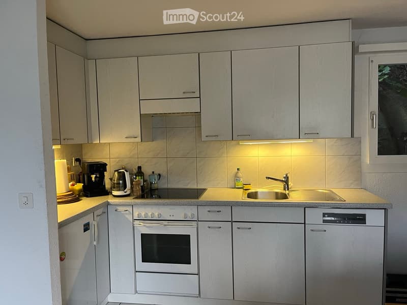 Modern kitchen with light wood cabinets, stainless steel appliances, and a marble backsplash.