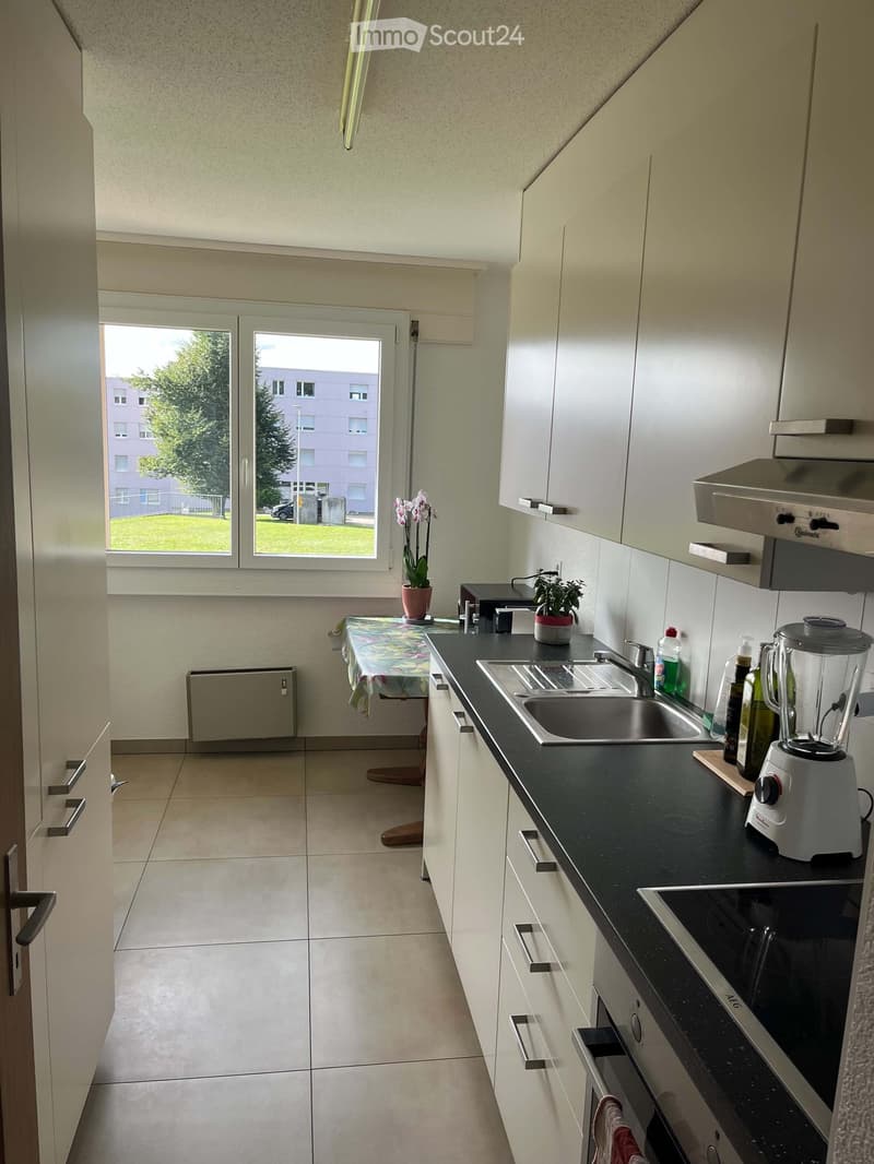 Modern kitchen with white cabinets, black countertop, stainless steel sink, blender, and small table with a potted plant.