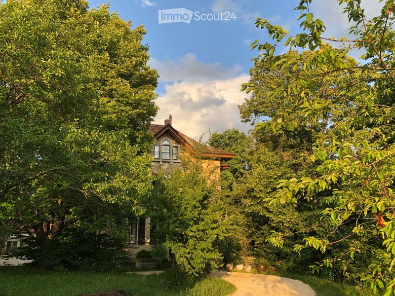 3 ½ pièces dans une maison de Maître – Un lieu de vie plein de charme et de verdure (34)