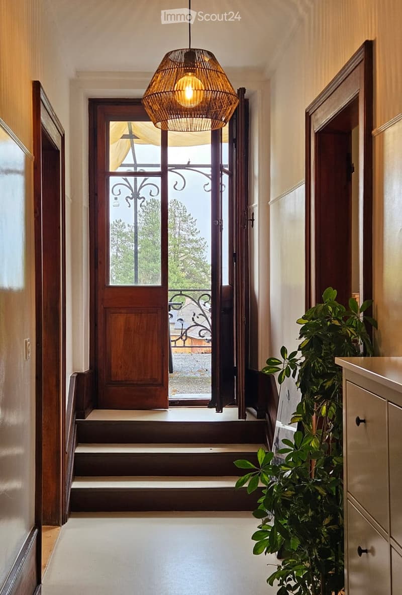 A well-lit hallway with a modern wicker pendant light, wooden double doors leading outside, and a small potted plant on the right side.