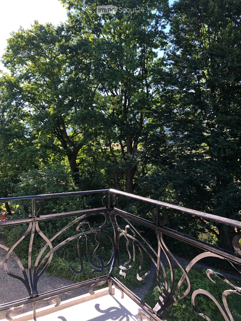 3 ½ pièces dans une maison de Maître – Un lieu de vie plein de charme et de verdure (25)