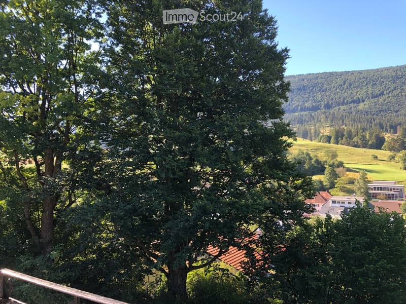 3 ½ pièces dans une maison de Maître – Un lieu de vie plein de charme et de verdure (27)