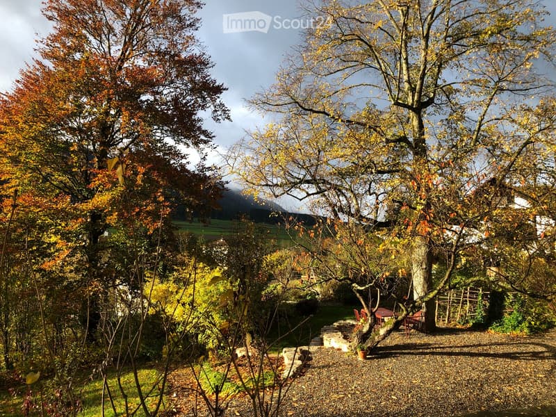 3 ½ pièces dans une maison de Maître – Un lieu de vie plein de charme et de verdure (29)