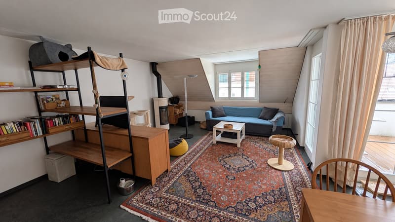 A cozy living room with a blue sofa, white coffee table, bookshelf, cat tree, and a patterned rug.