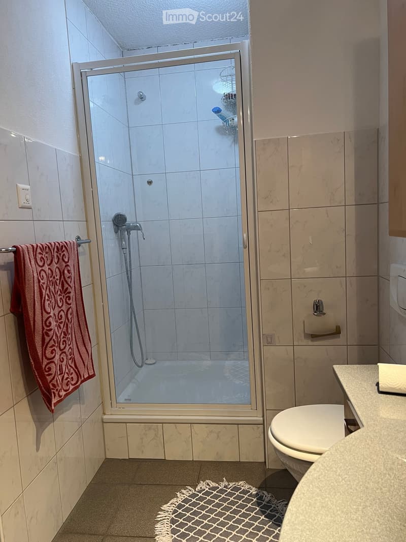 Modern bathroom with a glass-enclosed shower, tiled walls, a toilet, a towel on a rack, and a small decorative rug on the floor.