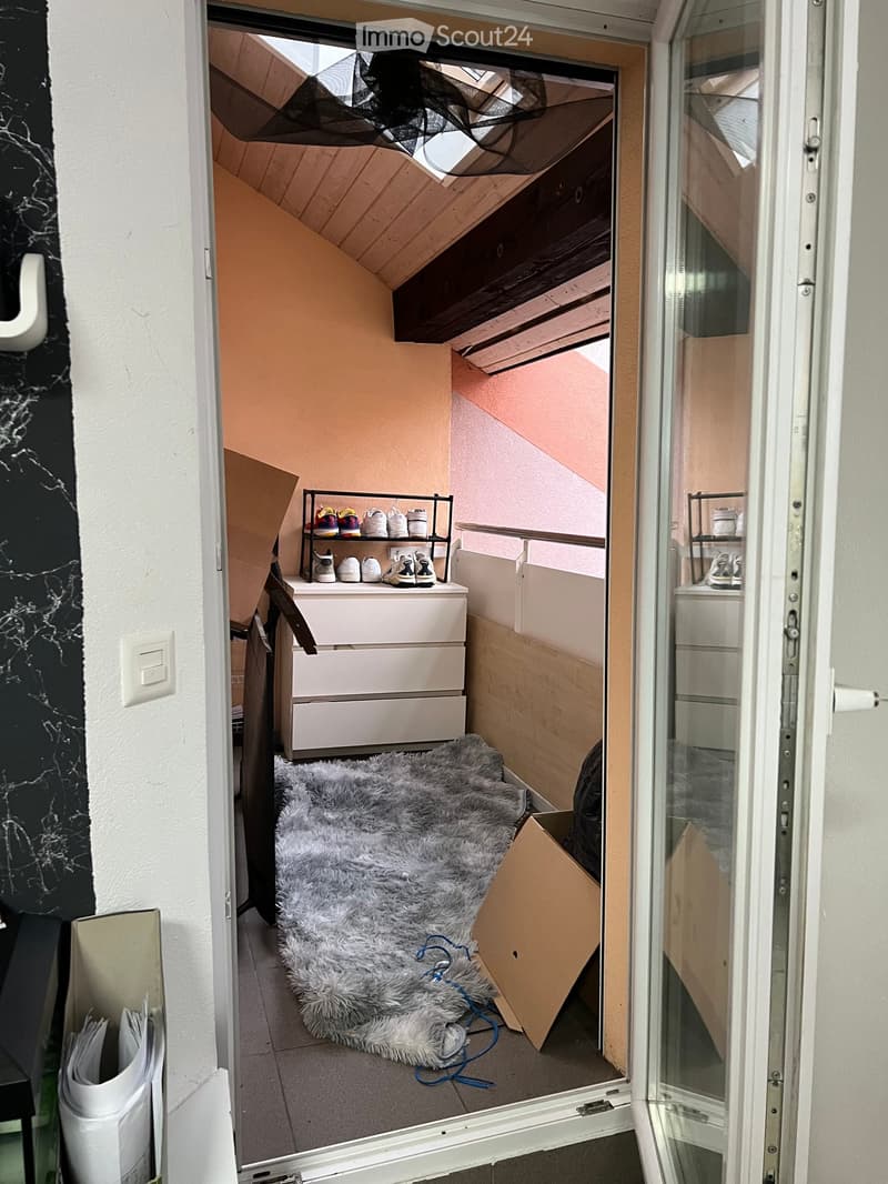 Small, cozy room with a furry rug, a drawer unit, a shoe rack, and a cardboard box on the floor.