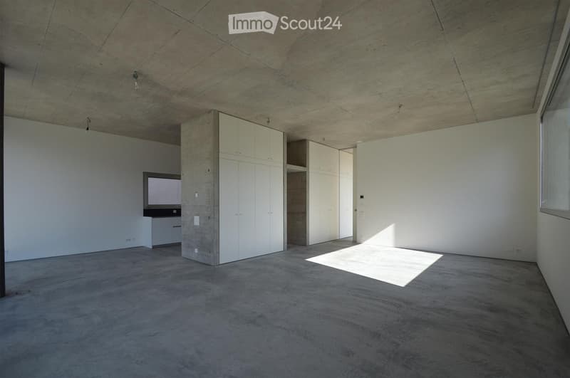 Empty room with concrete floor and ceiling, white walls, built-in white cabinets, and a small TV on a stand.