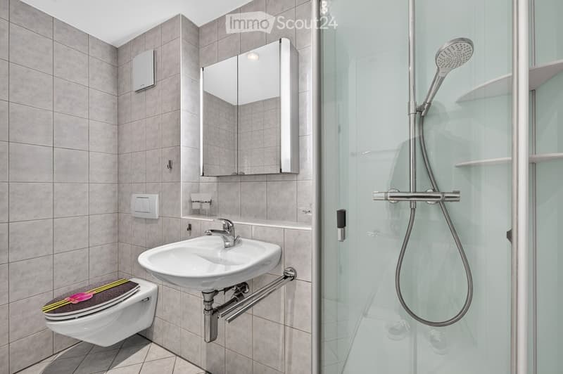 Modern bathroom with grey tiled walls, a white sink, a toilet with a decorative mat, a mirrored cabinet, and a glass-enclosed shower with a handheld showerhead.