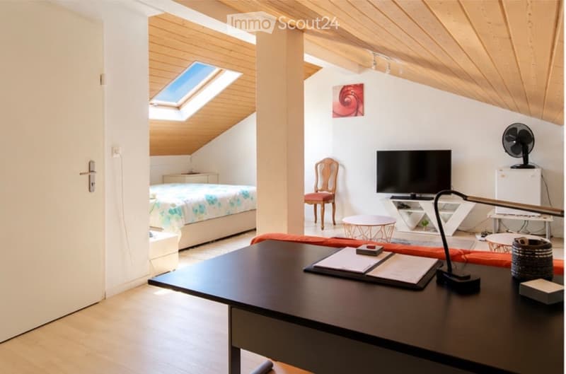 A modern, open-concept living and bedroom space with a slanted wooden ceiling, skylight, and contemporary furniture including a sofa, coffee table, chair, bed, TV, and fan.
