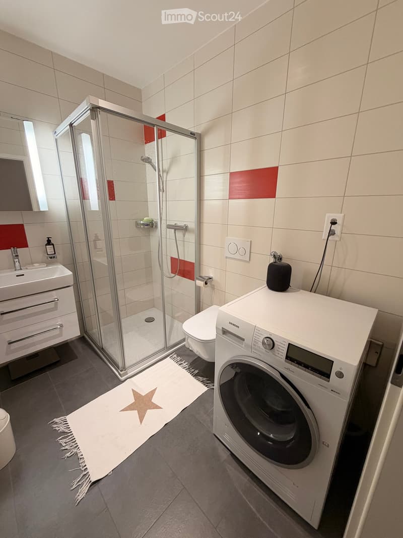 Modern bathroom with a glass-enclosed shower, sink with mirror, toilet, and a washing machine. Features a white bathroom rug with a star design on the floor.