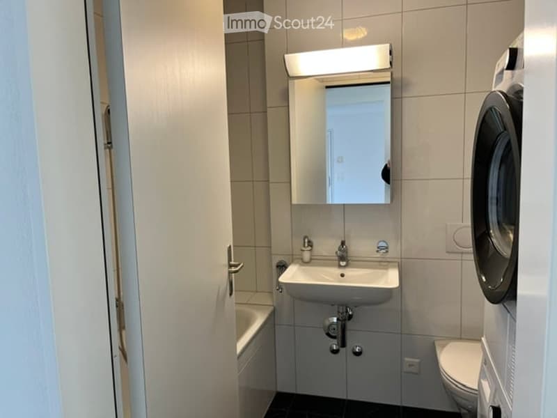 Modern bathroom with a white sink, mirror, bathtub, toilet, and a private washing machine.