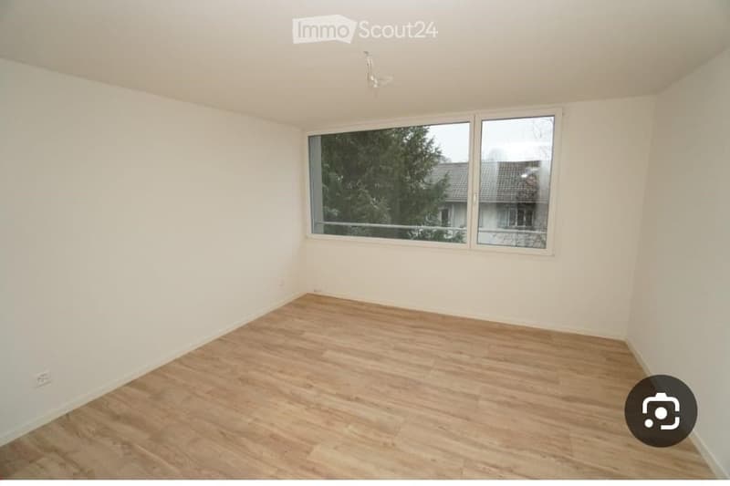 Empty room with light wooden flooring, white walls, and large windows offering a view of trees and neighboring houses.