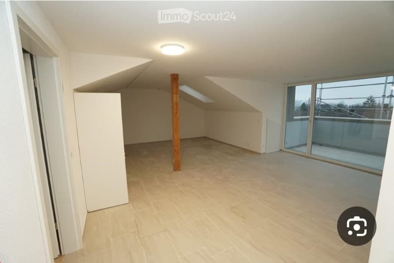 Empty attic room with wooden floor, white walls, large skylight, and sliding glass door leading to a balcony.