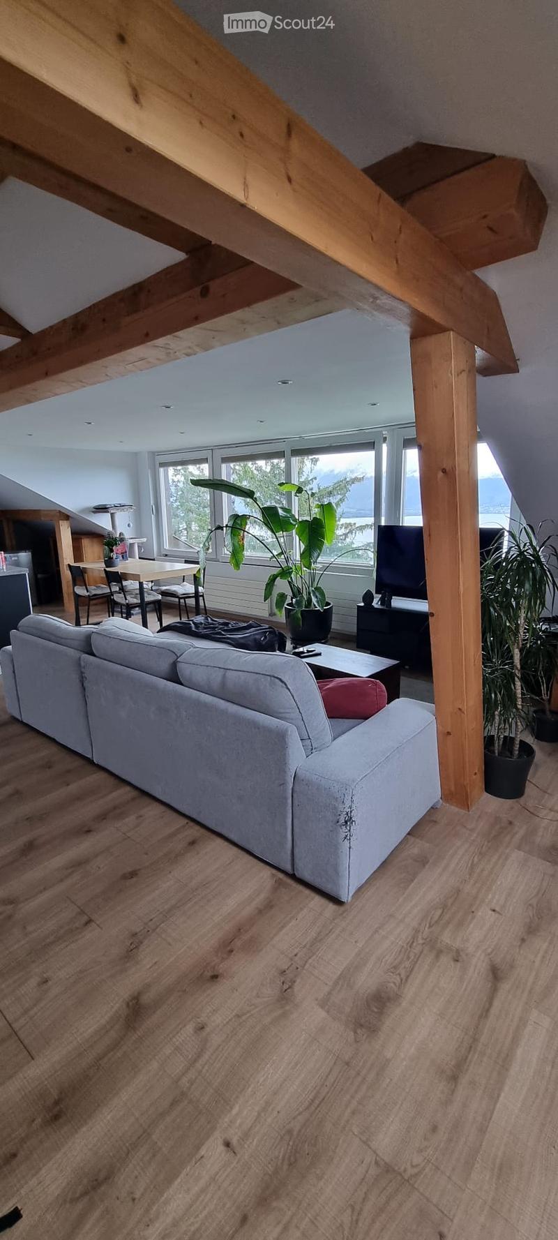 Living room with exposed wooden beams, large windows, grey sofa, coffee table, dining area with table and chairs, and potted plants.