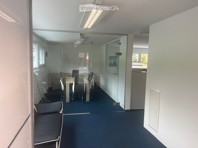 Modern office space with a blue carpet, white walls, and large glass partitions. Features a sofa, a small table with chairs, and a small plant on the table.