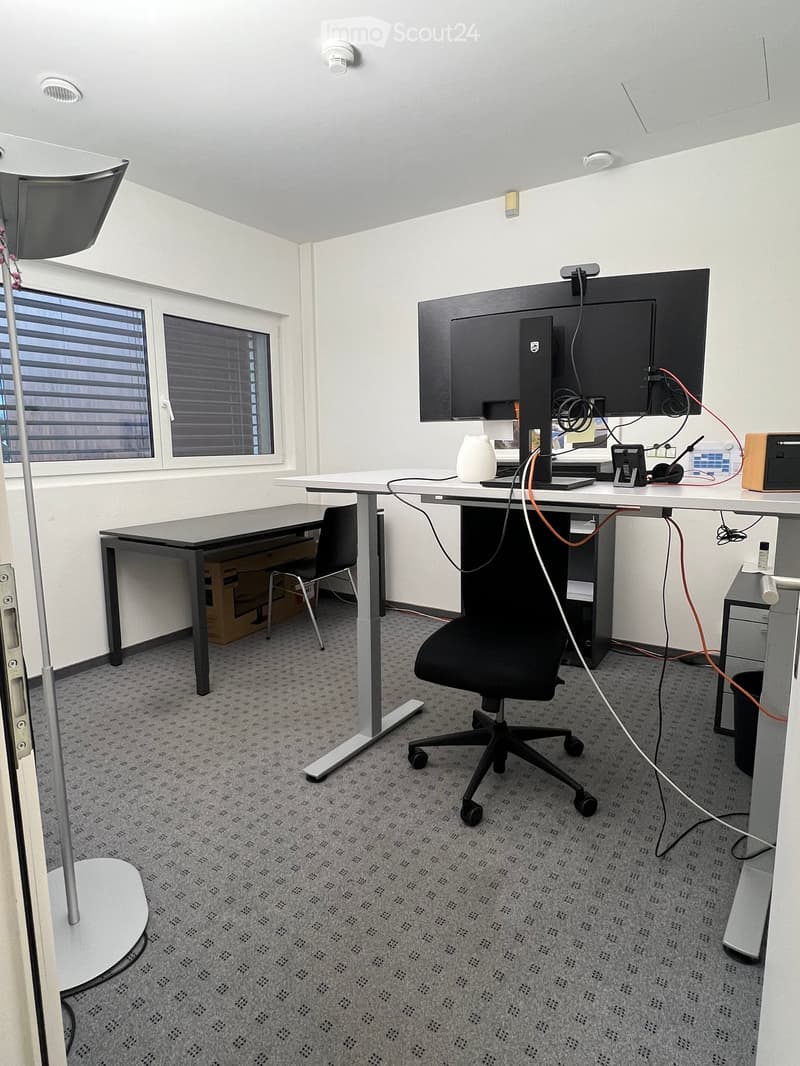 Office space with a desk, chair, large screen, and a lamp. The room has carpeted flooring and large windows with blinds.