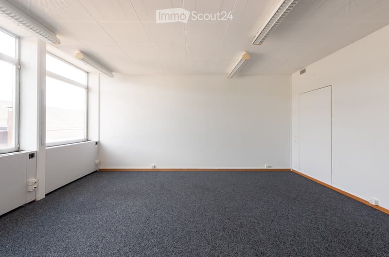 Empty room with white walls, grey carpet, large windows, and fluorescent lighting.