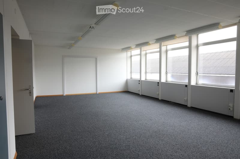 Empty room with white walls, grey carpet, large windows, and a closed door.