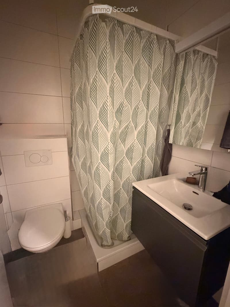 Modern bathroom with a white toilet, a white sink with a chrome faucet, and a shower with a leaf-patterned curtain.
