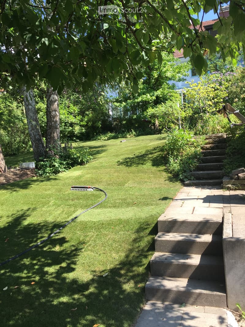 Well-maintained garden with a green lawn, trees, shrubs, and a concrete staircase leading up to a house.