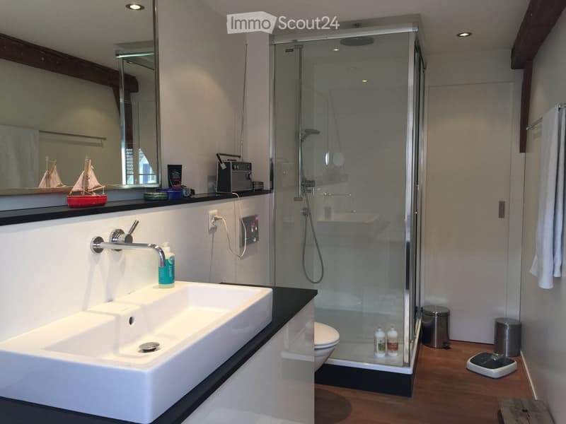 Modern bathroom with a large sink, mirror, glass-enclosed shower, and a toilet. Features include a sleek faucet, decorative items on the sink counter, and a towel hanging on the side.