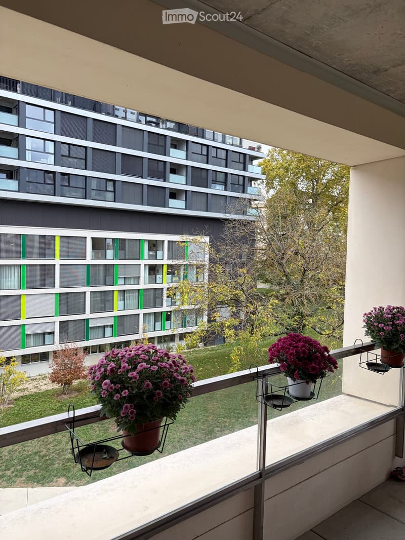 Reprise de Bail au 15.12.2026 - Appartement 4 Pièce - Coté Parc (Mais. Retraite Grand Saconnex) (2)