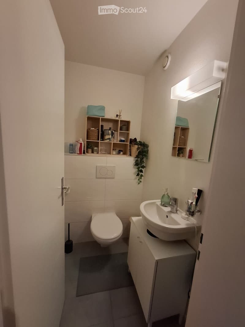 Modern bathroom with a toilet, sink, mirror, and wooden shelf holding toiletries and a small plant. The room features white tiles and a grey floor.