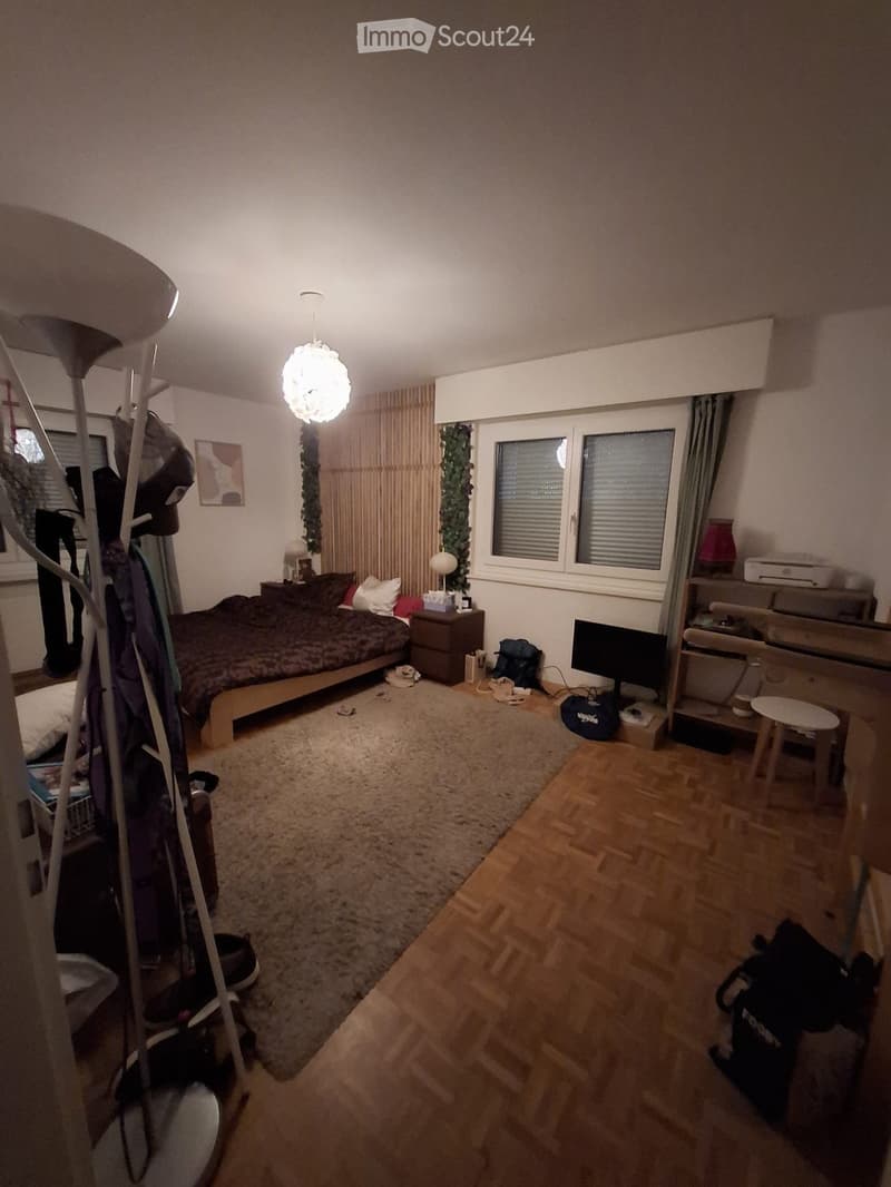 Cozy bedroom with a bed, nightstand, desk, chair, and a screen. The room features wooden flooring, a large window with blinds, and a hanging plant. There is also a small rug in front of the bed and a lamp on the nightstand.