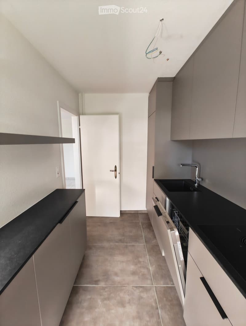 Modern kitchen with light grey cabinets, black countertops, and a built-in dishwasher. The space features a sleek design with a door leading to another room.