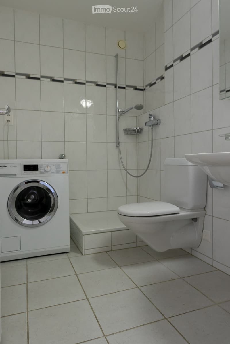 Bathroom with a toilet, sink, washing machine, and a shower area with tiled walls and floor.