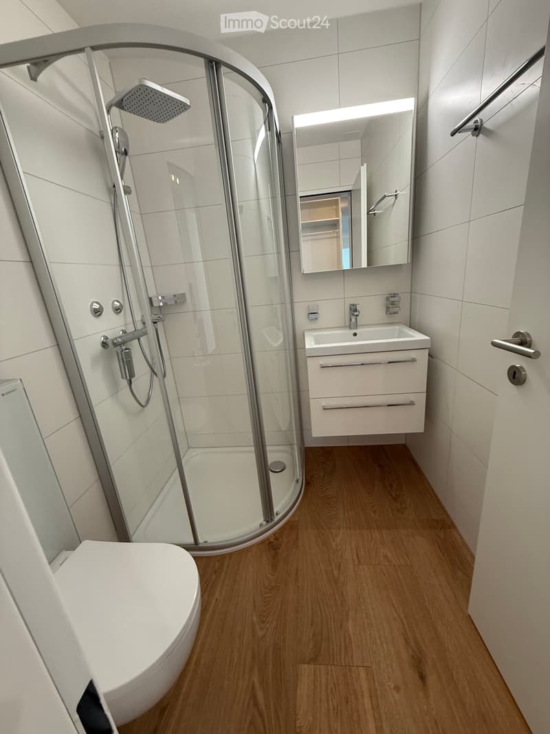 Modern bathroom with white tiles, wooden flooring, a toilet, a sink with a cabinet, a glass-enclosed shower, and a mirror above the sink.
