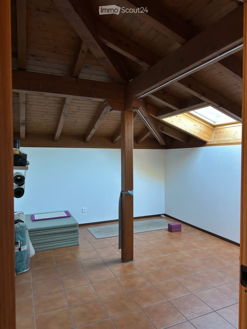 CERCASI SUBENTRANTE a CADENAZZO (3)