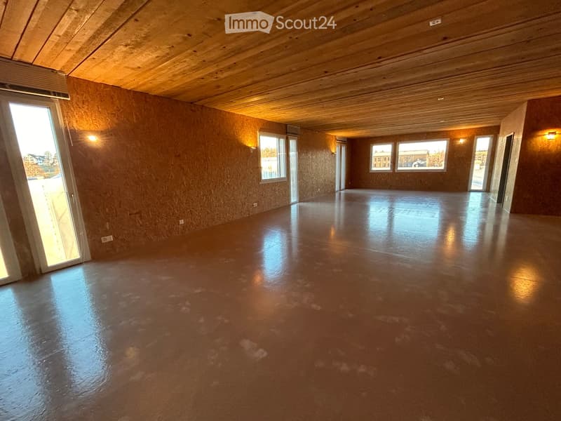 Empty room with bare walls and polished concrete floor, wooden ceiling, large windows, and sliding glass door.