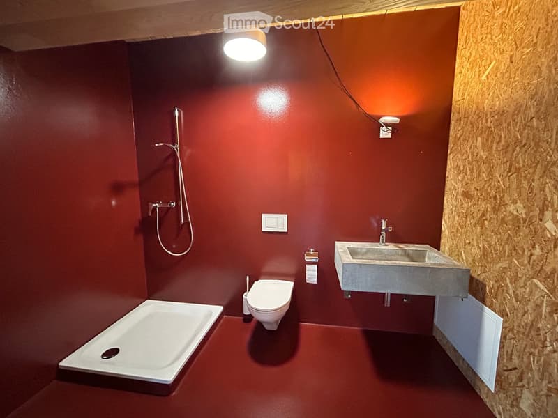 Modern bathroom with red walls and matching red floor, featuring a bathtub, toilet, sink, and a shower hose.