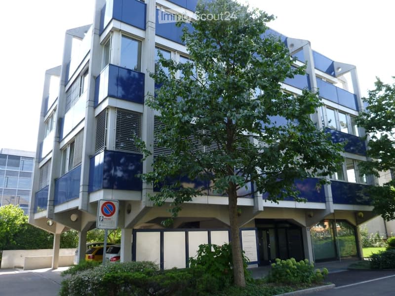 multi-story building, blue and white walls, large windows, parking place