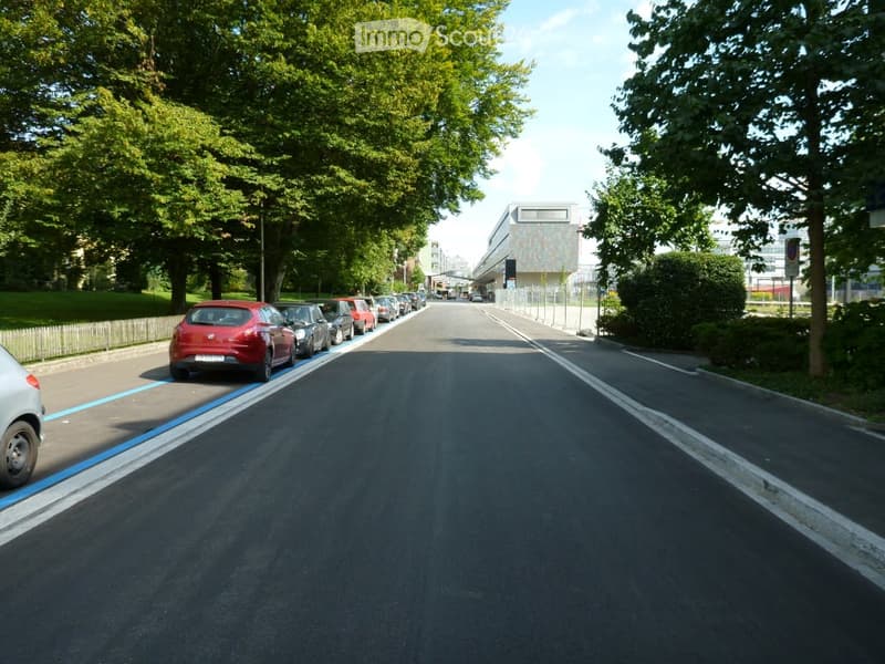 an empty street with several cars parked on one side, lined with trees and grass, a building visible in the background