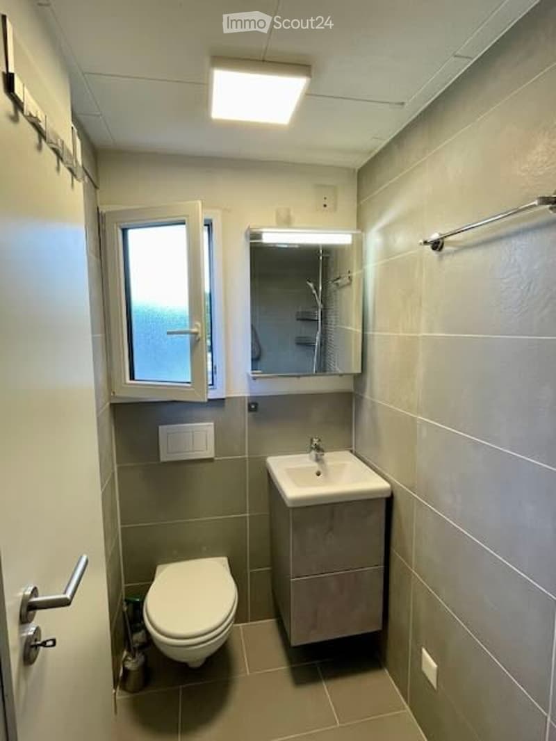 compact bathroom with a white toilet, sink, and mirror mounted on a wall above the sink, an open window, and a ceiling light