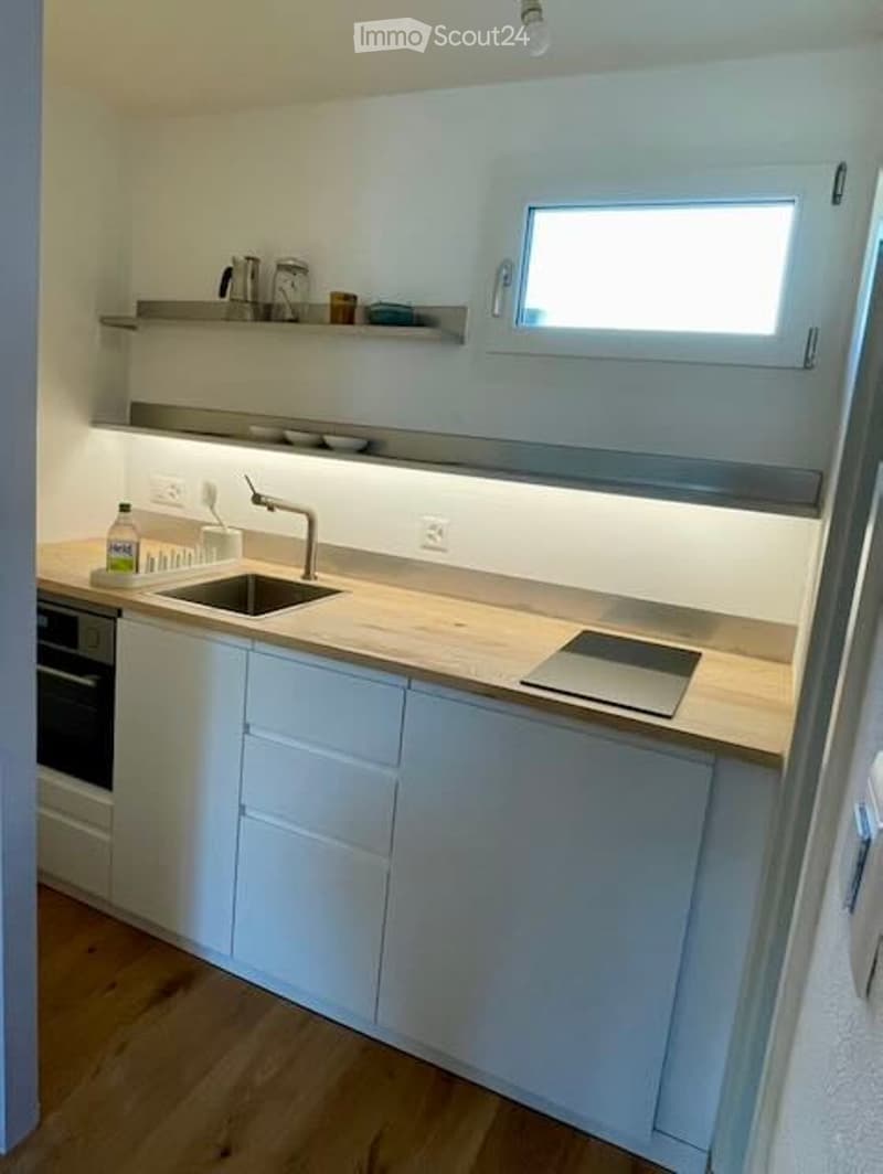 modern kitchen, wooden floor, white cabinets, double sink, dishwasher, dishwasher, modern appliances, electric outlets, light switch