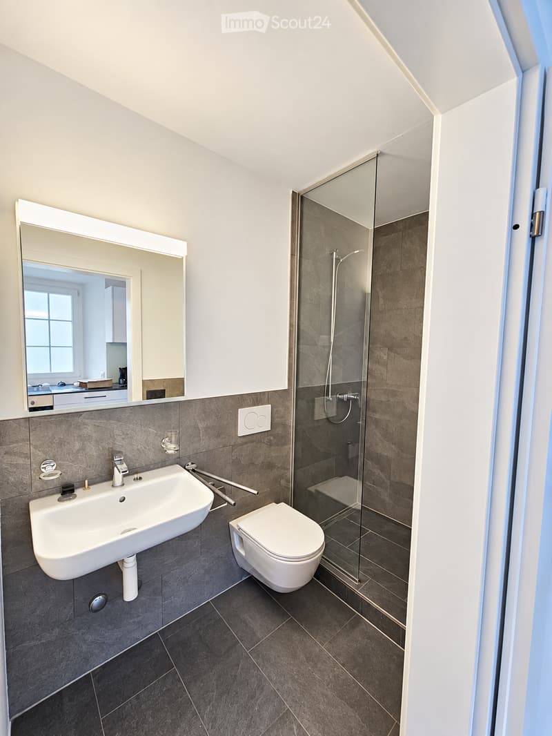 Modern bathroom with a white sink, toilet, large mirror, and glass-enclosed shower. Dark tiled walls and floor.